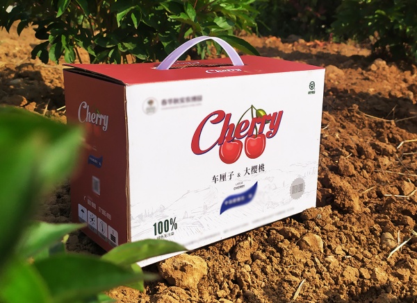 櫻桃、車?yán)遄佣Y盒